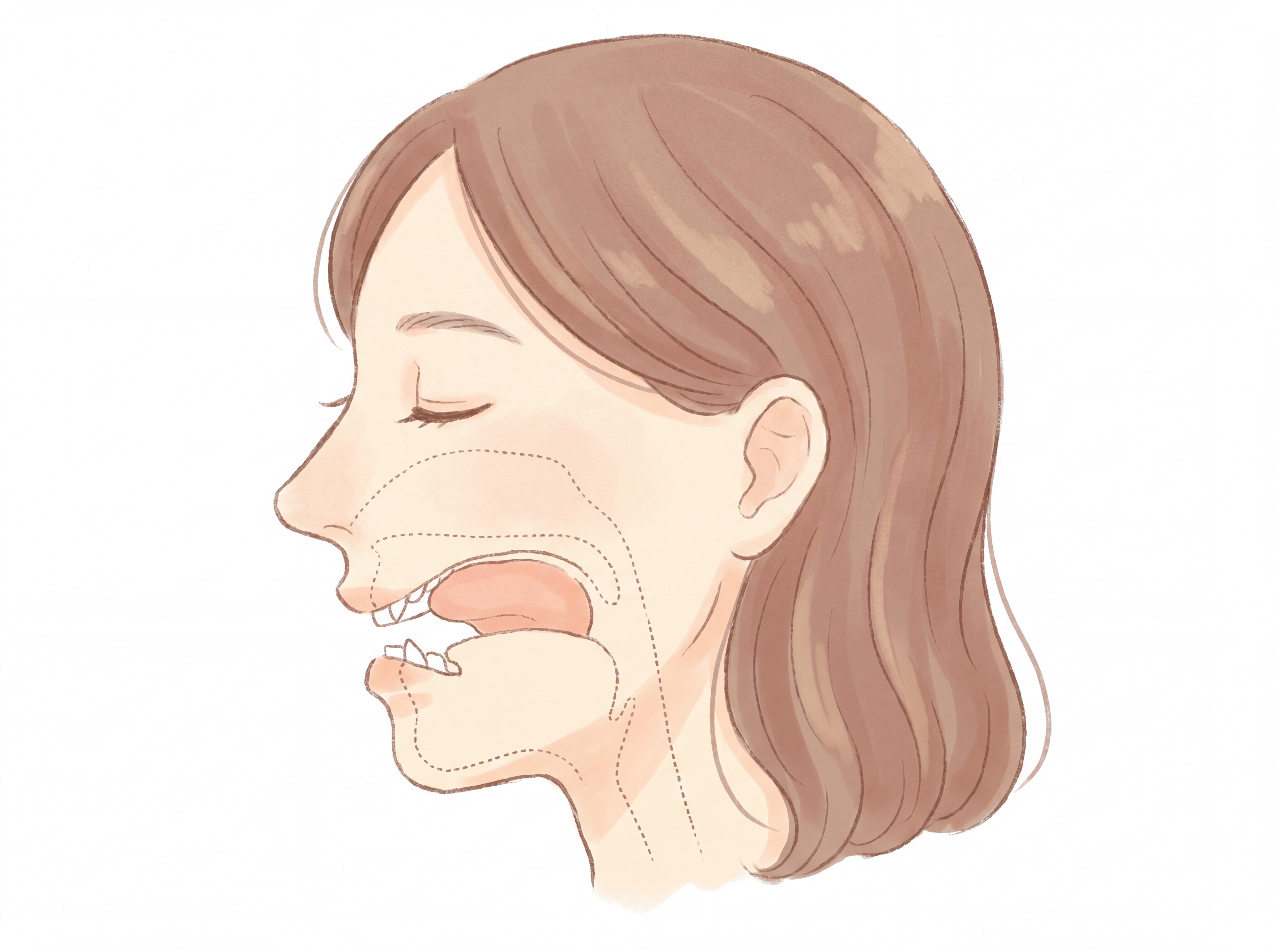 Illustration showing the correct resting jaw position